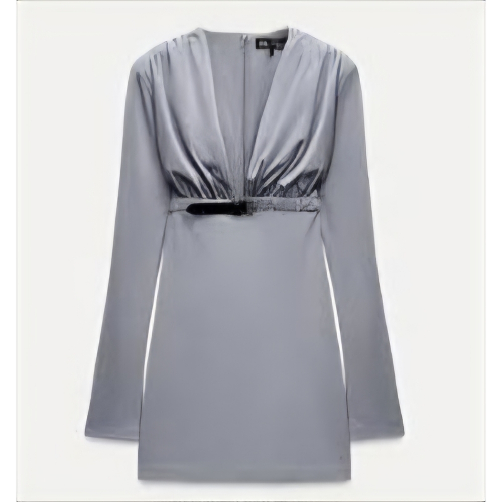 ZARA | Long Sleeve Plunge V-Neck Mini Dress